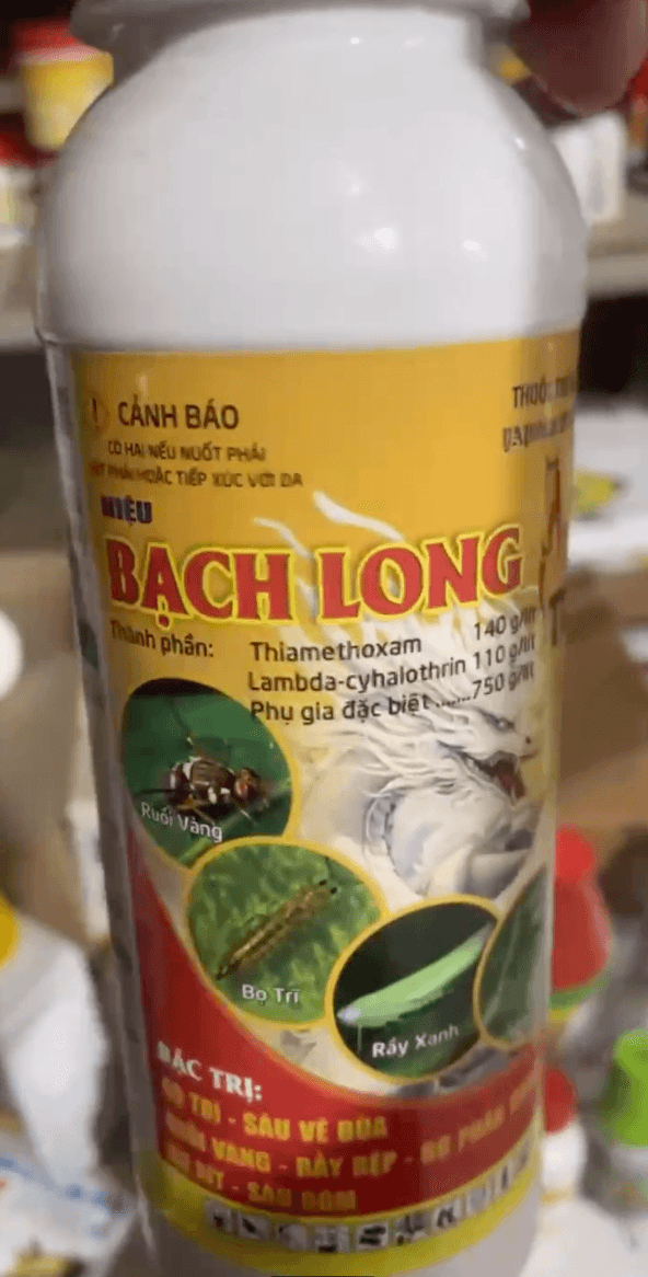 Bạch Long